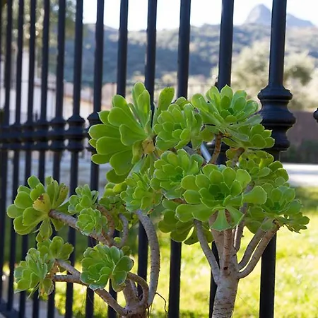 La Bodega Villa Grazalema